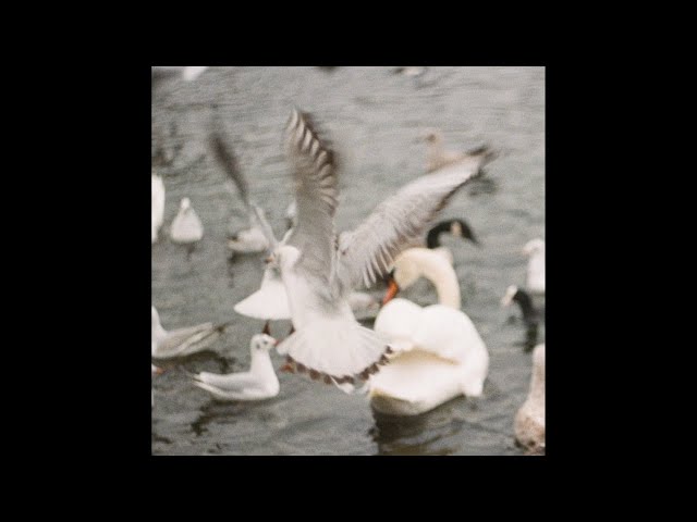 Sea Oleena ~ On Possession