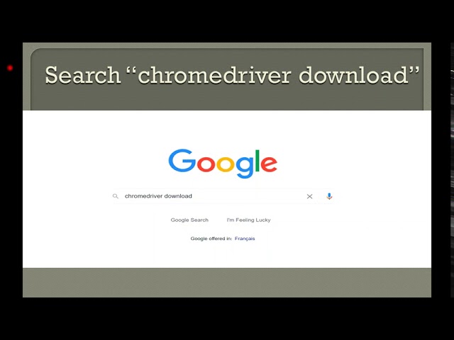 Python || How to install Selenium and Chrome WebDriver || Automation
