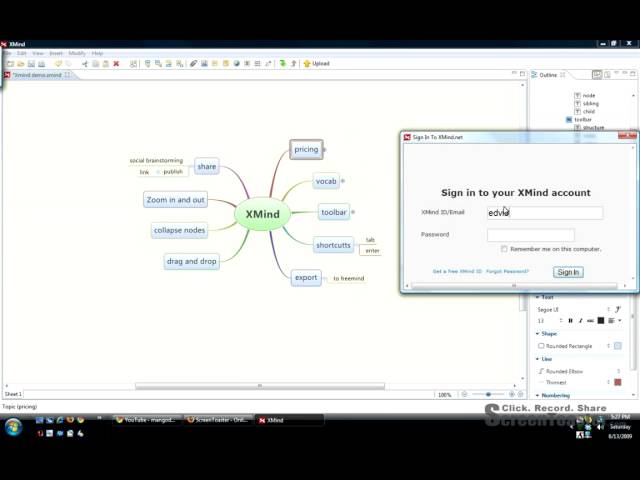 XMind Demo