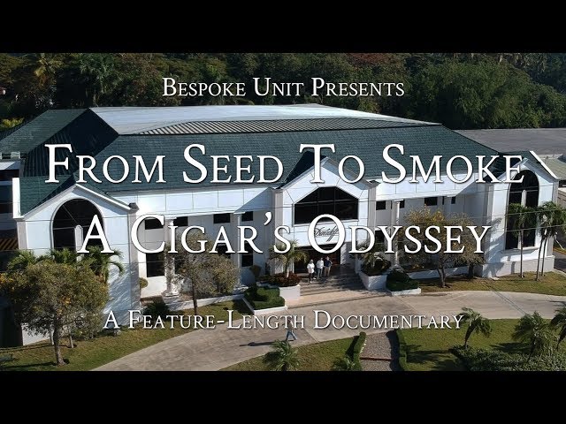 From Seed To Smoke: A Cigar's Odyssey | Davidoff Cigar Factory & Farms (How Cigars Are Made)