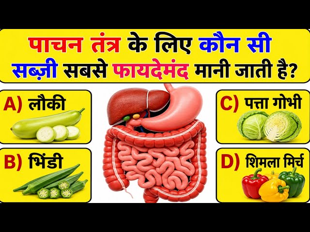 GK Questions | GK in Hindi | GK Questions and Answers | GK Quiz | General Knowledge Questions Video