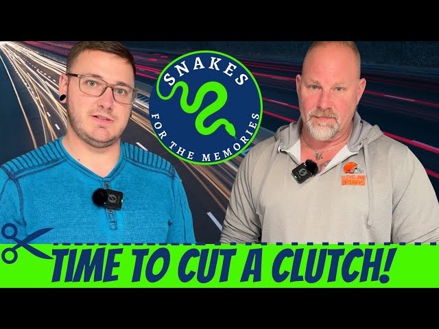 Freeway Ball Python Egg Cutting with a Surprise Guest!!!