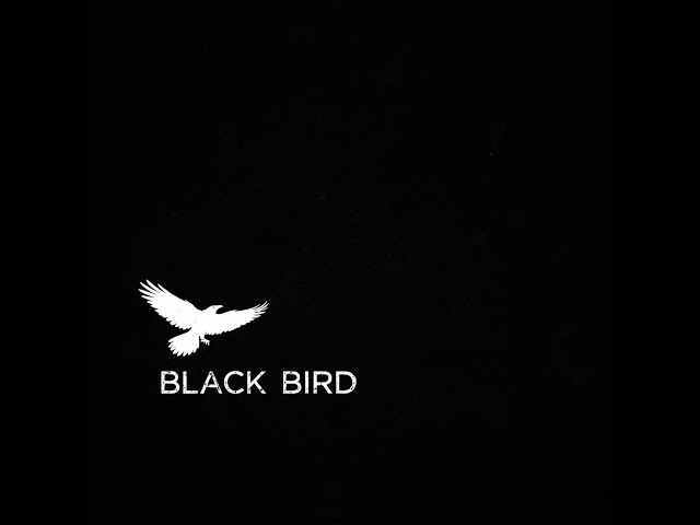 Silent Factory - Dirty Days "Black Bird"