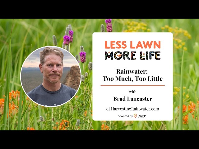 Too Much Water, Too Little: Rainwater Harvesting for Any Yard | Brad Lancaster [WEBINAR]