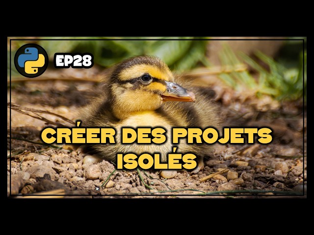 Virtual Environments | Python - EP28