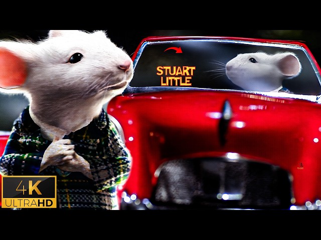 Stuart Little – The Mini Car Chase