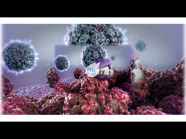 AstraZenaca VR 360 Interactive Presentation