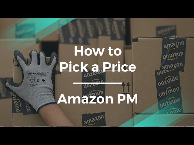 How to Pick a Price for Your Product by Amazon Product Manager, Aditya Vikram Bhuwania