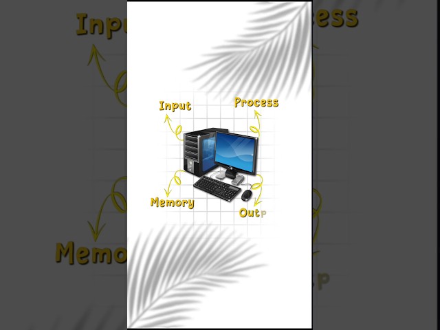 Explain simple model of Computer 🖥️, Computer Kaise Work karta hai? | #shorts #shortsfeed