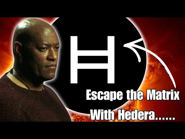 Escape The Incoming Ai Matrix With Hedera Hashgraph HBAR......