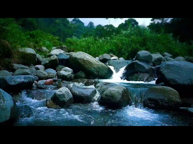 River Stream Ambient Sleep Sounds to Relax Mind, Body & Drift Into Deep Sleep