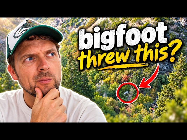 Did Bigfoot Throw Something at My Drone?