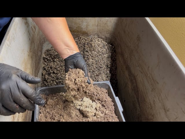 2 Actions to Make Using Cardboard Fluff More Effective in a Worm Bin