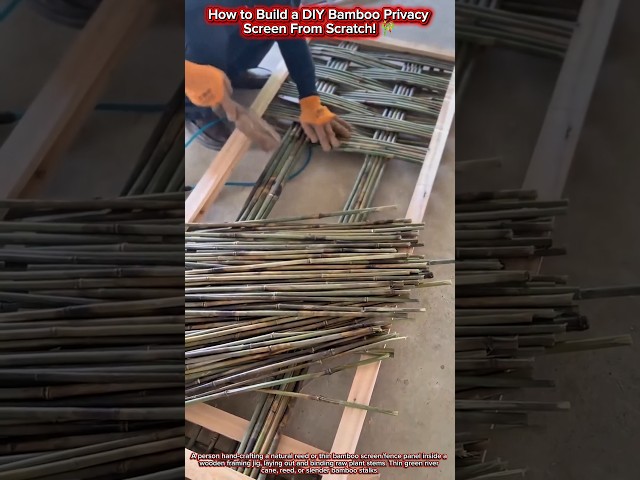 How to Build a DIY Bamboo Privacy Screen From Scratch! 🎋