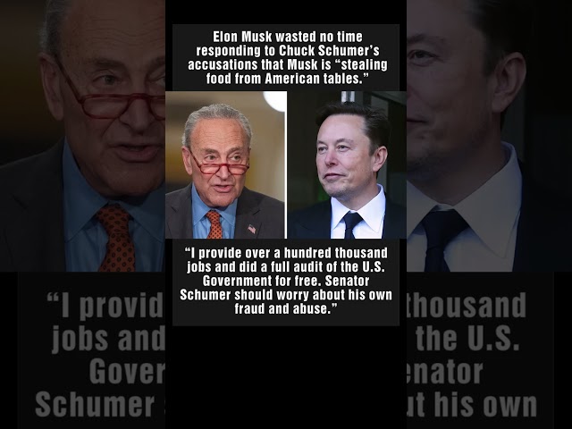 Elon Musk Fires Back at Chuck Schumer