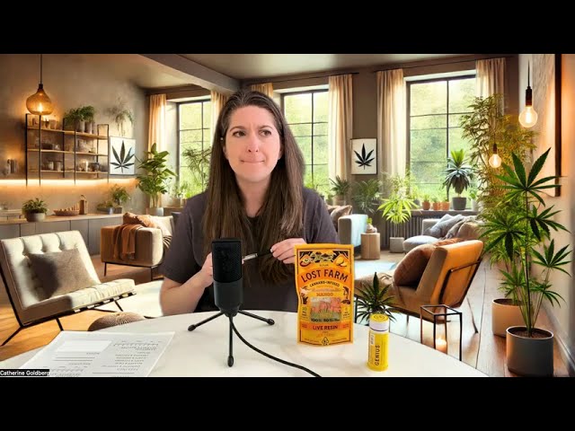 Cannabis for Focus: Why Some People Are Replacing Adderall with Weed