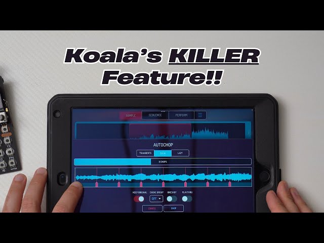 How to Sample ANYTHING in Koala Sampler!