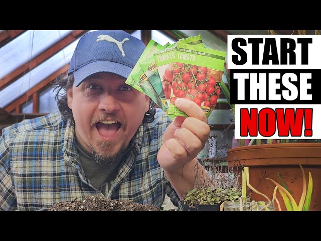 5 Crops To Start Early Now! - Garden Quickie Episode 185