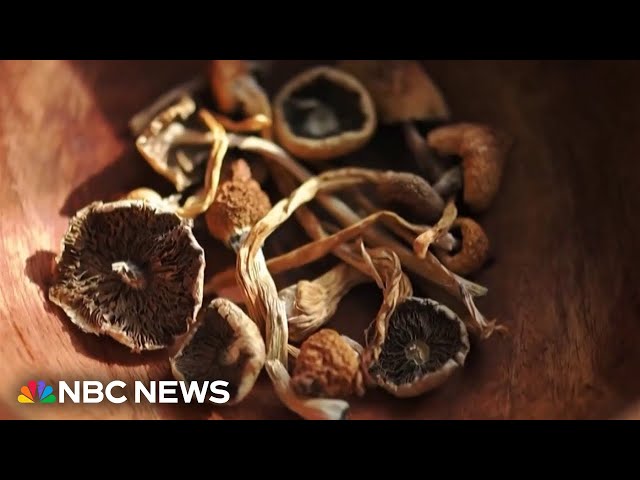 FDA grants quick review for 3 psychedelic drug trials