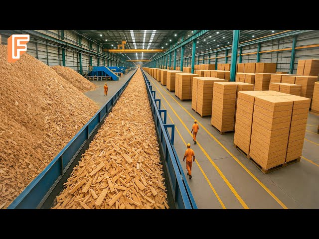 How Millions Of Particle Boards Are Made From Recycled Wood Scraps In Mass Production Line
