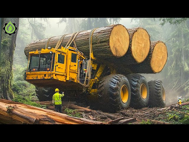 Extreme Dangerous Big Logging Wood Truck Driving Skill | Fastest Chainsaw Cutting Tree Machines #9
