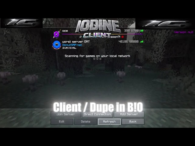 BEST DUPE ON DONUTSMP RIGHT NOW  (2026) STILL WORKS!