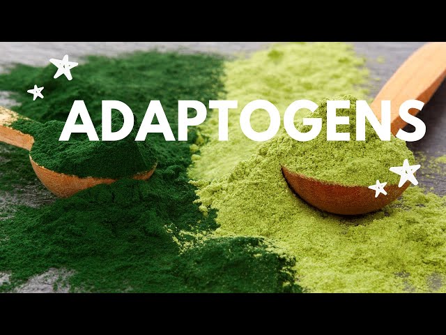 ADAPTOGENS EXPLAINED IN UNDER 10 MINUTES!