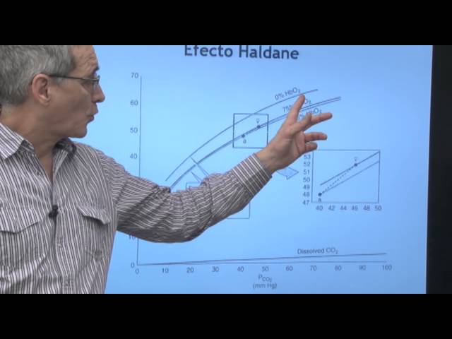Fisiología III-  Transporte de CO2   2