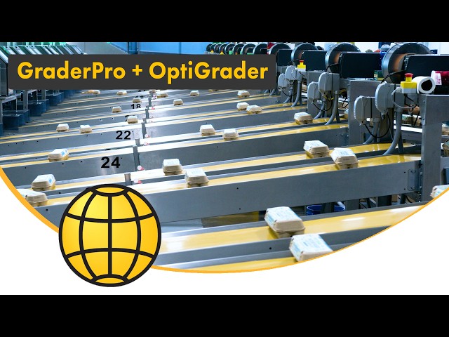 Inside a 5 Million Eggs/Day Egg Grading Plant | GraderPro & OptiGrader | SANOVO