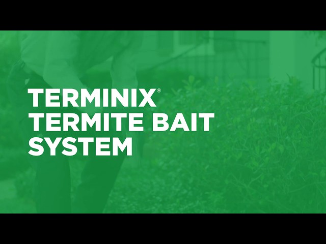 How Termite Bait Stations Work with Terminix