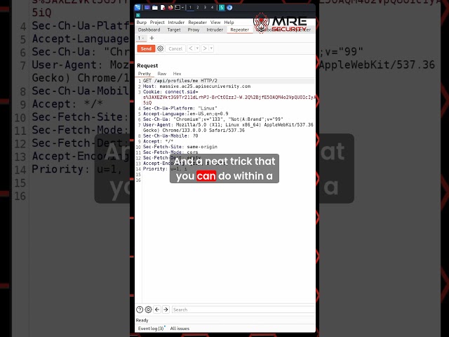 Can You REALLY Change API Requests in Seconds with Burp Suite