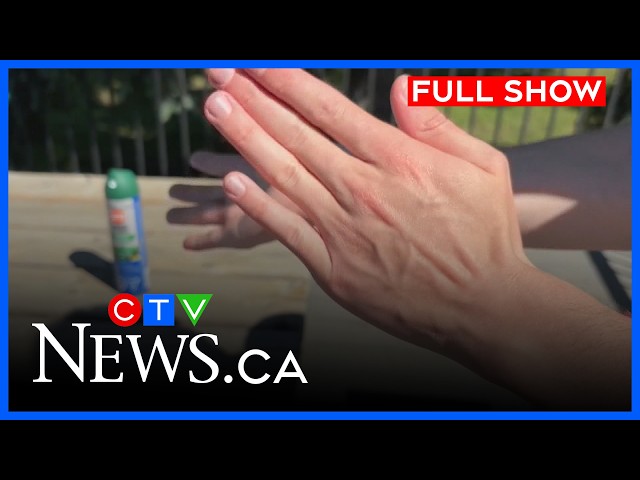Edmonton seeing record mosquito levels | CTV News Edmonton at Six for July 24, 2026