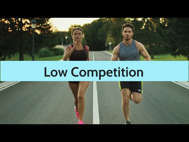 how much does seo cost 2022