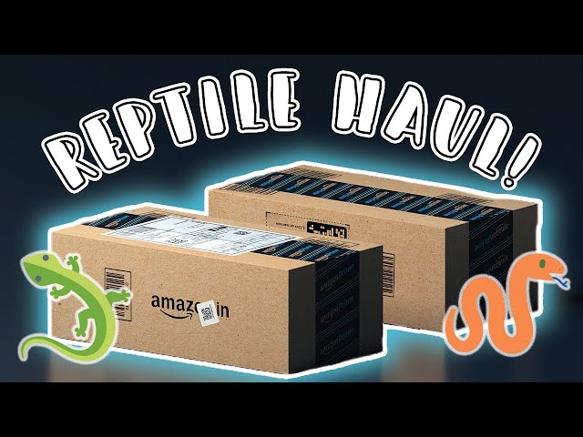 Amazon Reptile Haul!