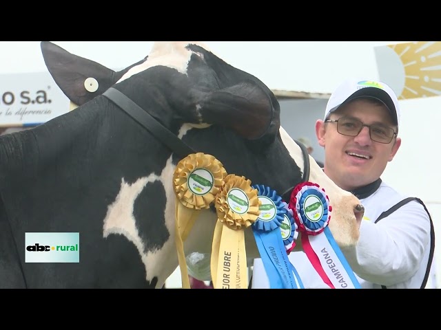 Características destacadas de vacas lecheras en Cooprolanda 2026