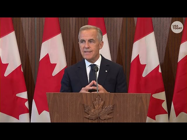 Canadian PM says US is 'trying to break us so they can own us' over tariffs