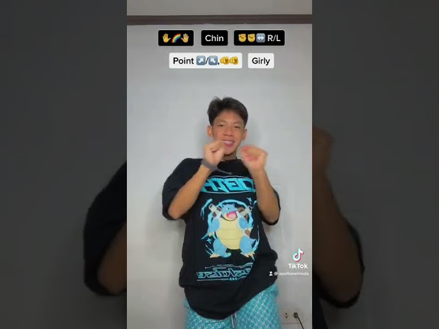 Girl in the mirror TikTok Dance Tutorial