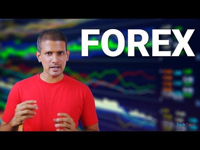 What Is Forex And Binary Options Trading?