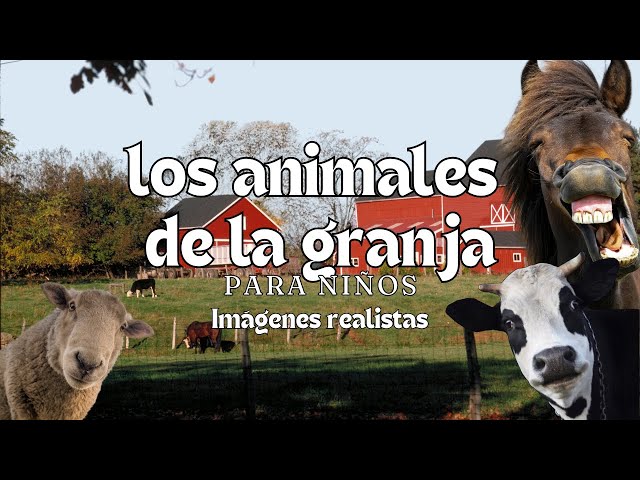 Farm Animals - Educational Videos - Montessori Momers
