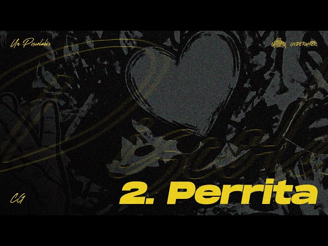 CG - PERRITA (VISUALIZER)