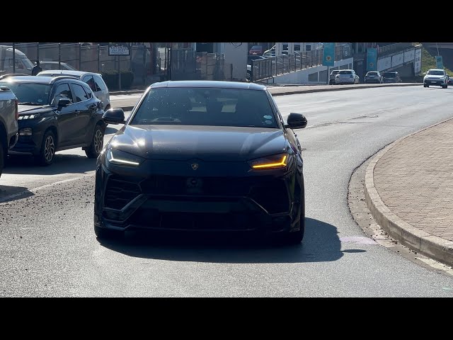 Porsche or Lamborghini 