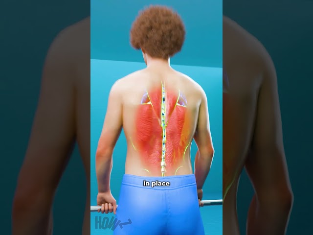 What if you did 2-Minute Planks everyday 🤯