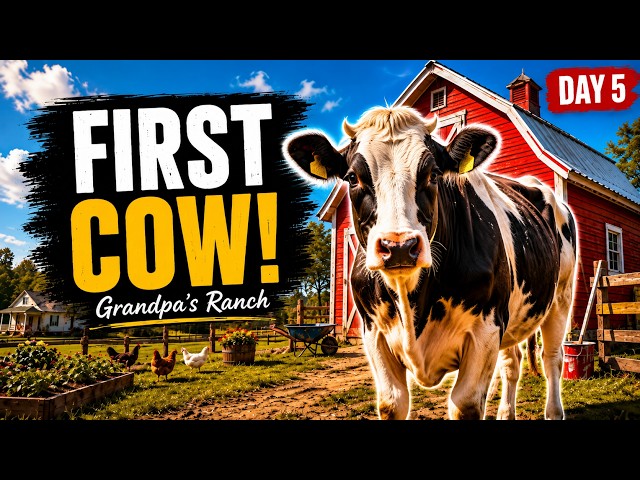 I RESTORED GRANDPA'S COW BARN... AND BOUGHT OUR FIRST COW!
