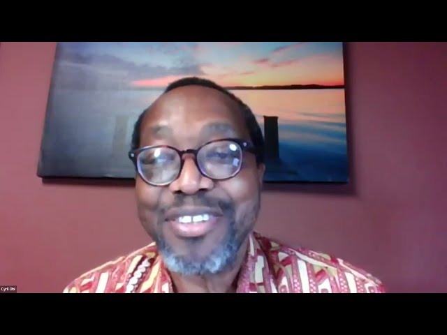 Virtual Book Launch - Disarmament, Demobilisation and Reintegration of Ex-Combatants in Africa