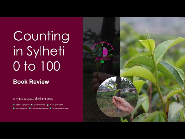 Let's learn Sylheti Numbers  0 to 100