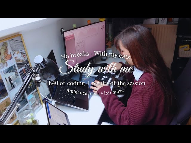 study with me | coding focus with calm lofi music - no breaks