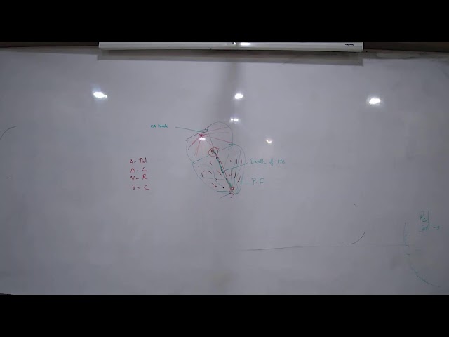 VSH27 - X ICSE BIOLOGY RSM - 17/08/2026