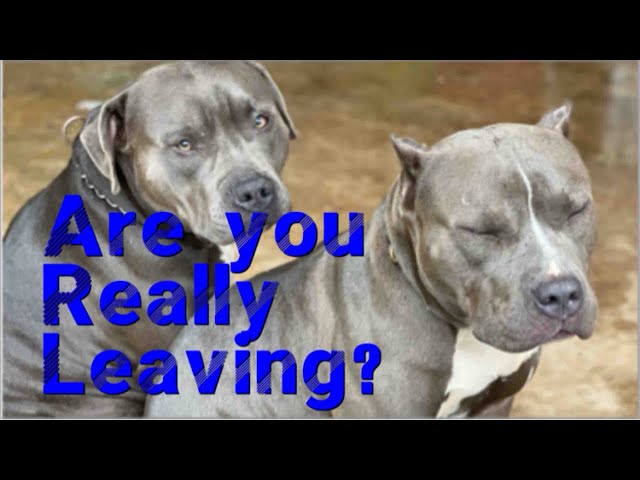 DID THE HATE FORCE ME TO LEAVE ? (WE WANT ANSWERS