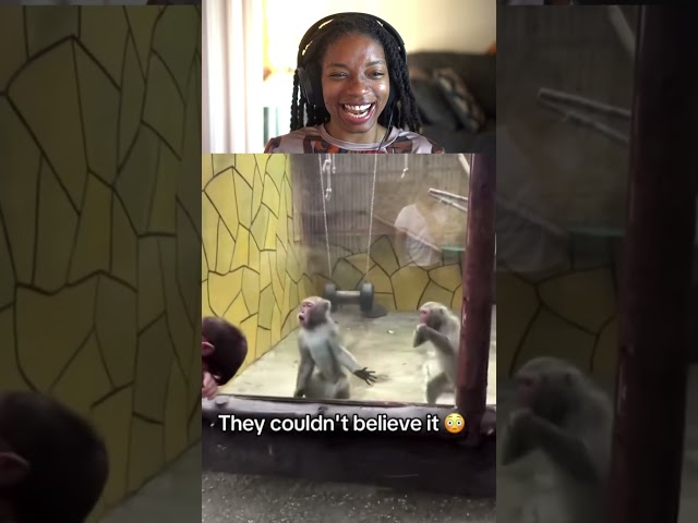 they couldnt believe it