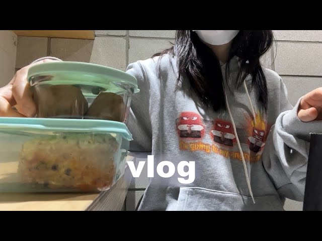 독서실다니는 노답 취준생 브이로그 | 10만원으로 두쫀쿠 만들기 | 컵누들 계란찜, 맥도날드